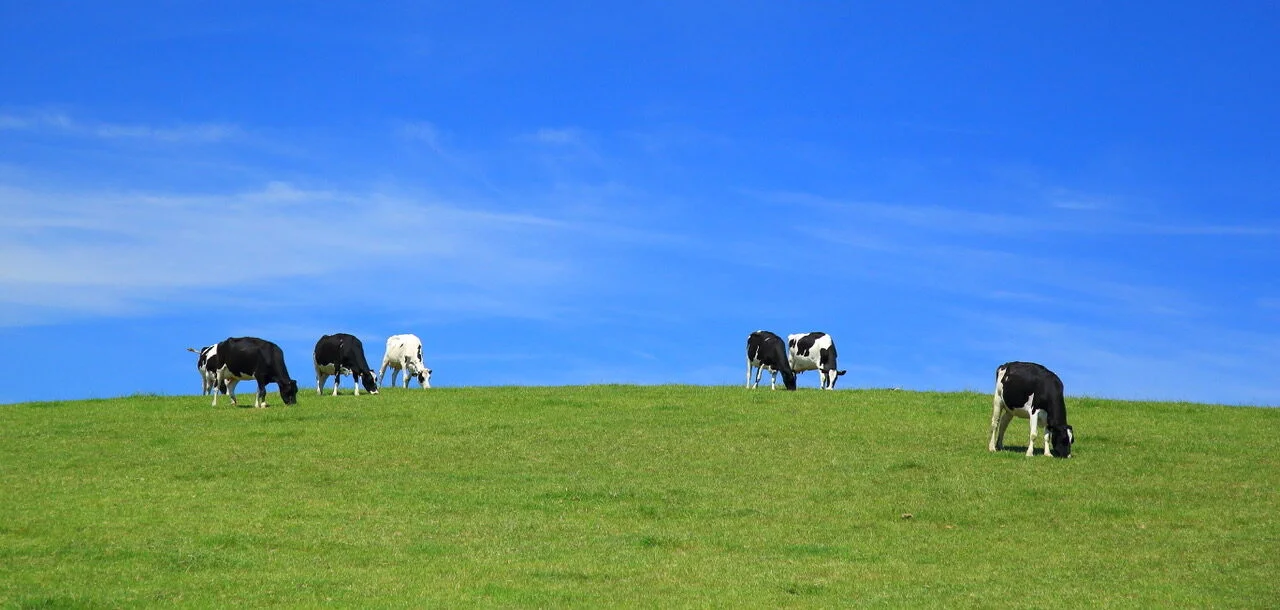 GeothermieGroepNederland Hero