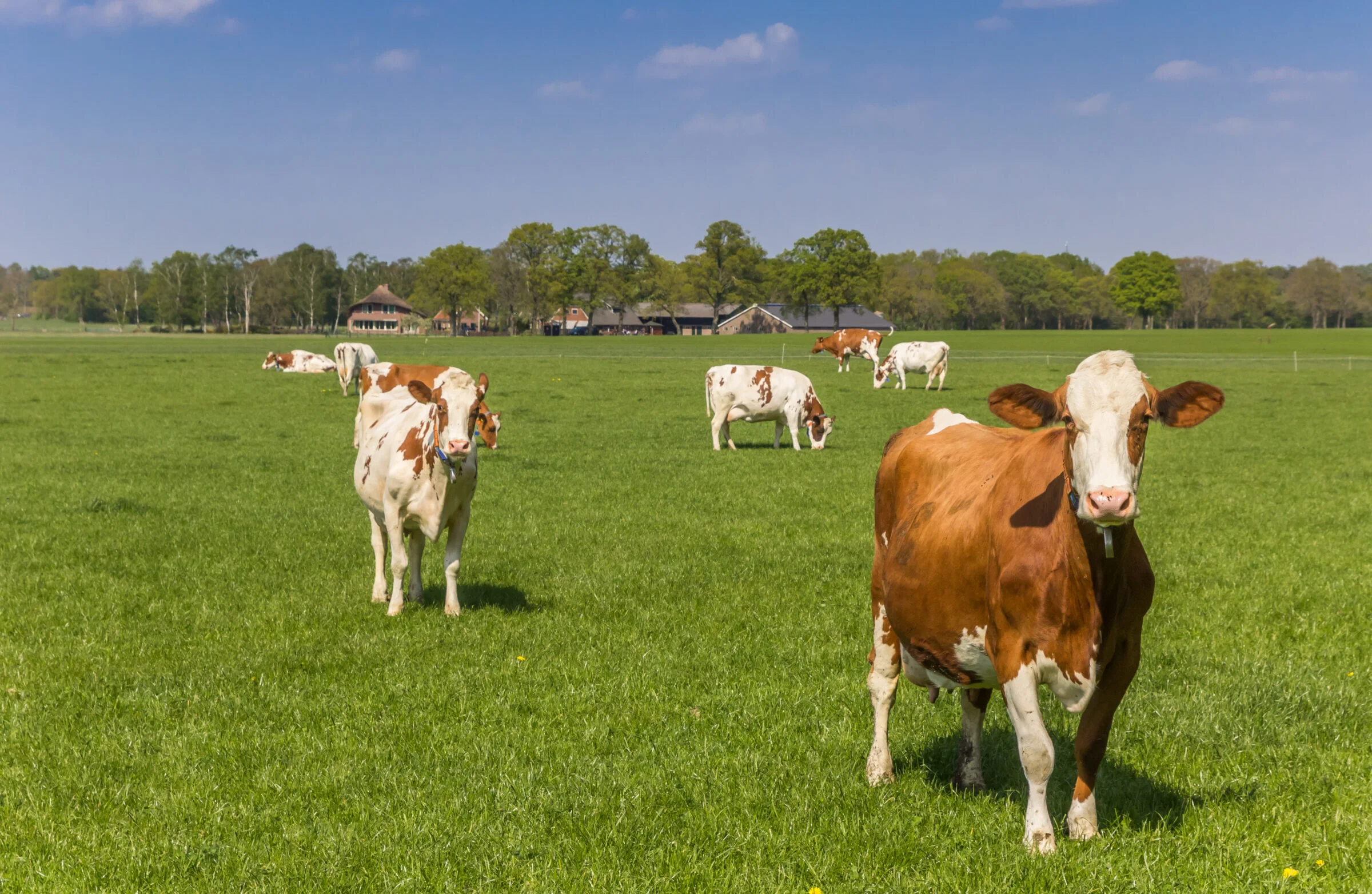 shutterstock 1939307032